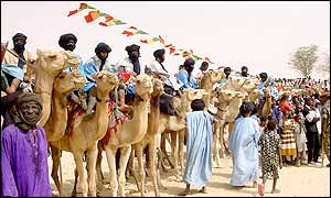 Camels in Timbuktu
